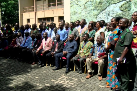 Over 800 Illegal Miners Arrested in Ghana’s Forest Reserves Amid Growing Concerns