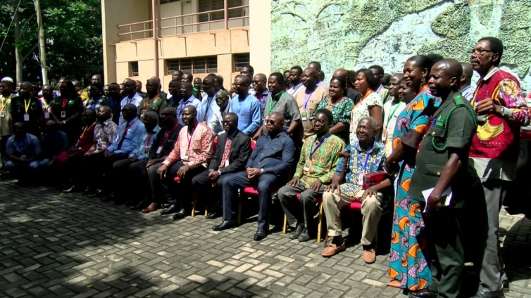 Over 800 Illegal Miners Arrested in Ghana’s Forest Reserves Amid Growing Concerns